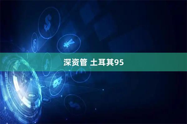深资管 土耳其95