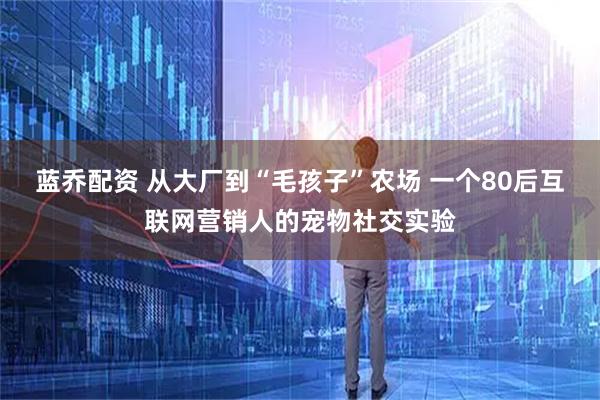 蓝乔配资 从大厂到“毛孩子”农场 一个80后互联网营销人的宠物社交实验